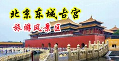 操骚屄女人视频中国北京-东城古宫旅游风景区